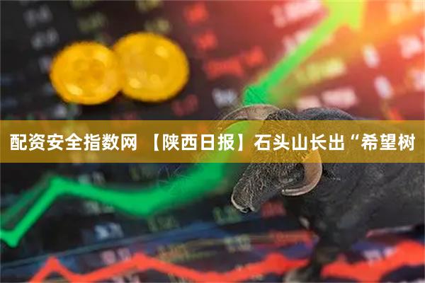 配资安全指数网 【陕西日报】石头山长出“希望树