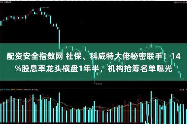 配资安全指数网 社保、科威特大佬秘密联手！14%股息率龙头横盘1年半，机构抢筹名单曝光
