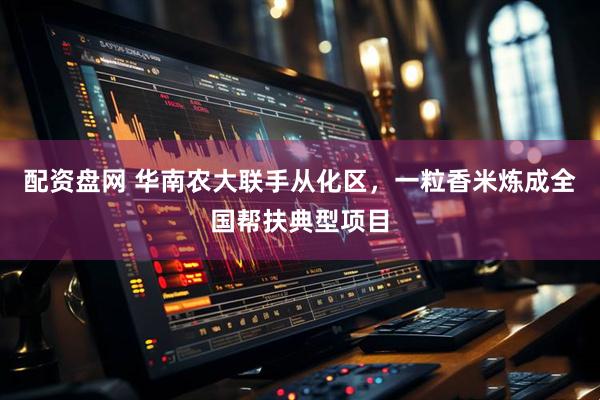 配资盘网 华南农大联手从化区，一粒香米炼成全国帮扶典型项目